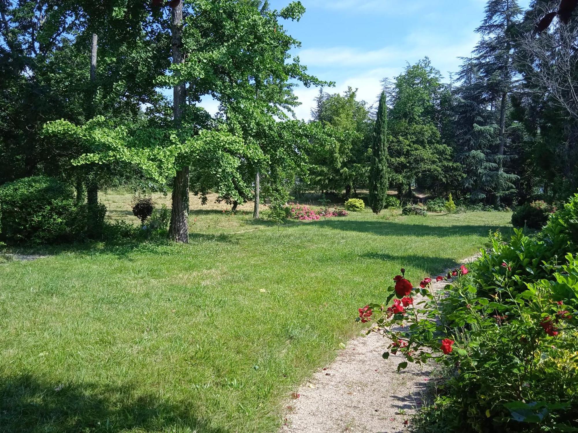 Maison Calme Avec Piscine Entouree De Son Parc Quintenas Exterior photo